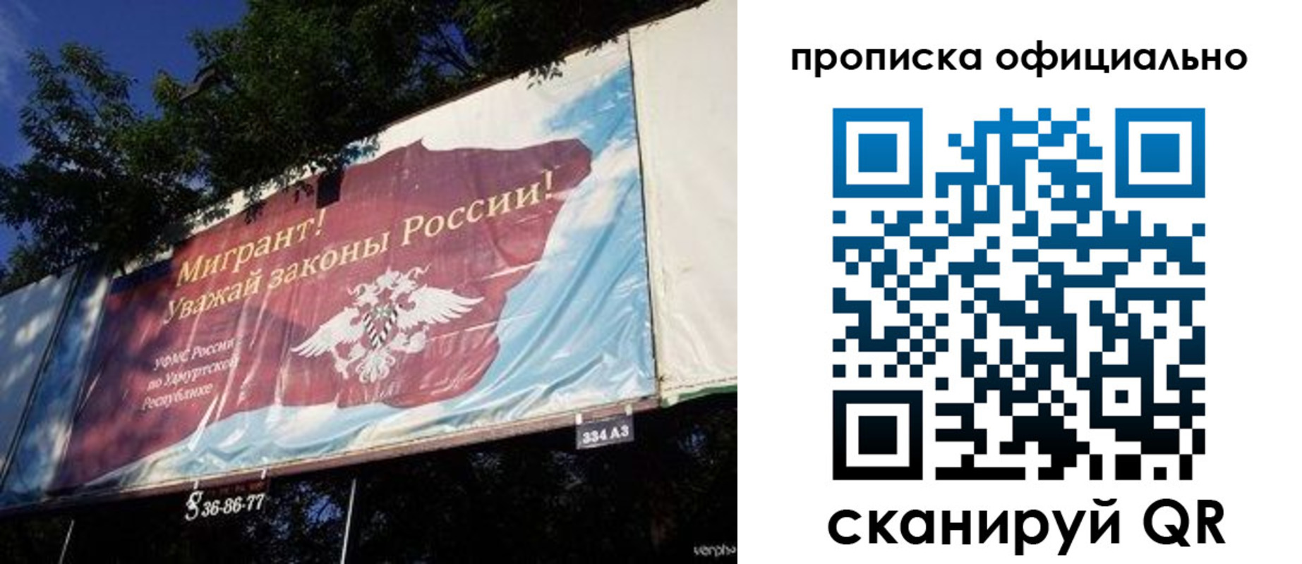 временная регистрация поиск в Светогорске